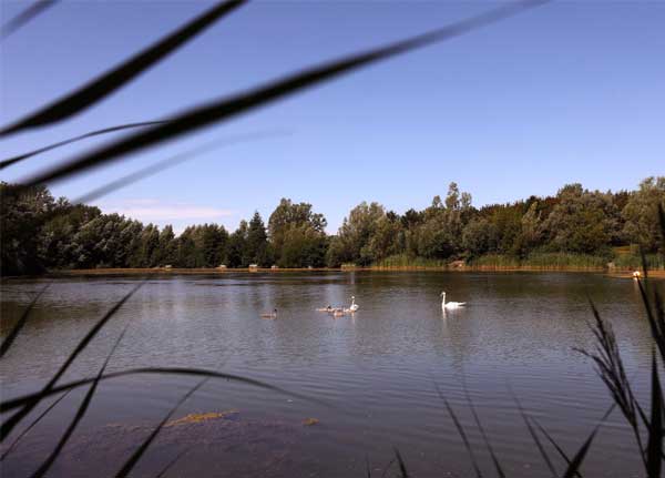 Waterbeach Barracks lake