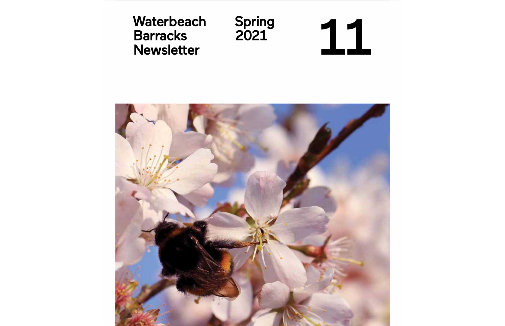 Featured image for “Waterbeach Barracks Spring 2021 newsletter”