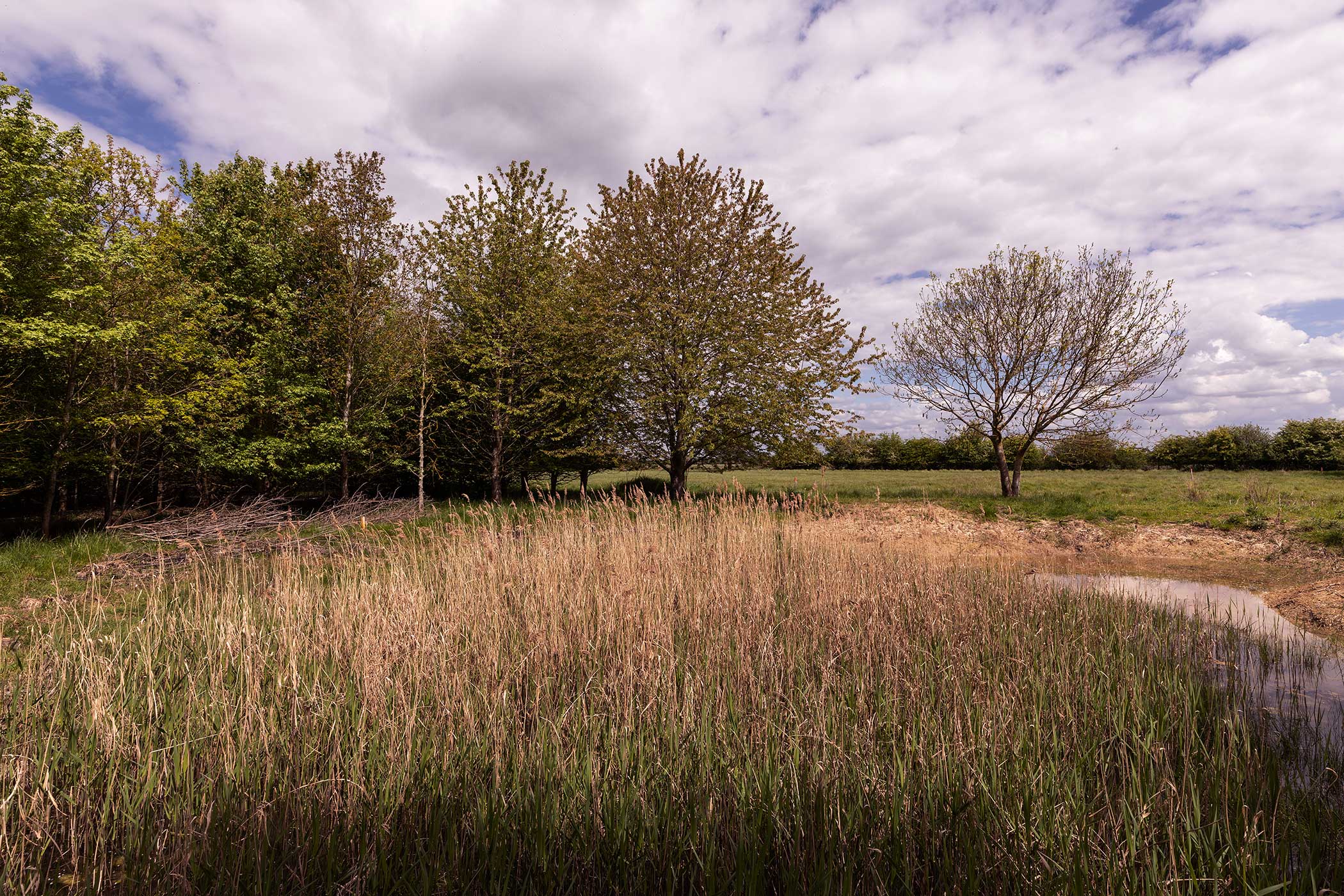 The former golf course