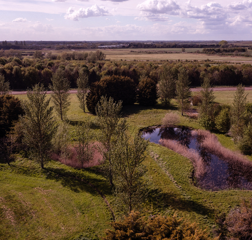 Golf course habitat aerial view