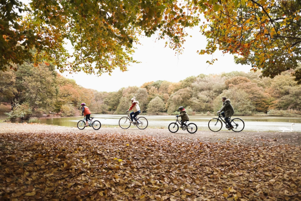 cycling together in a row