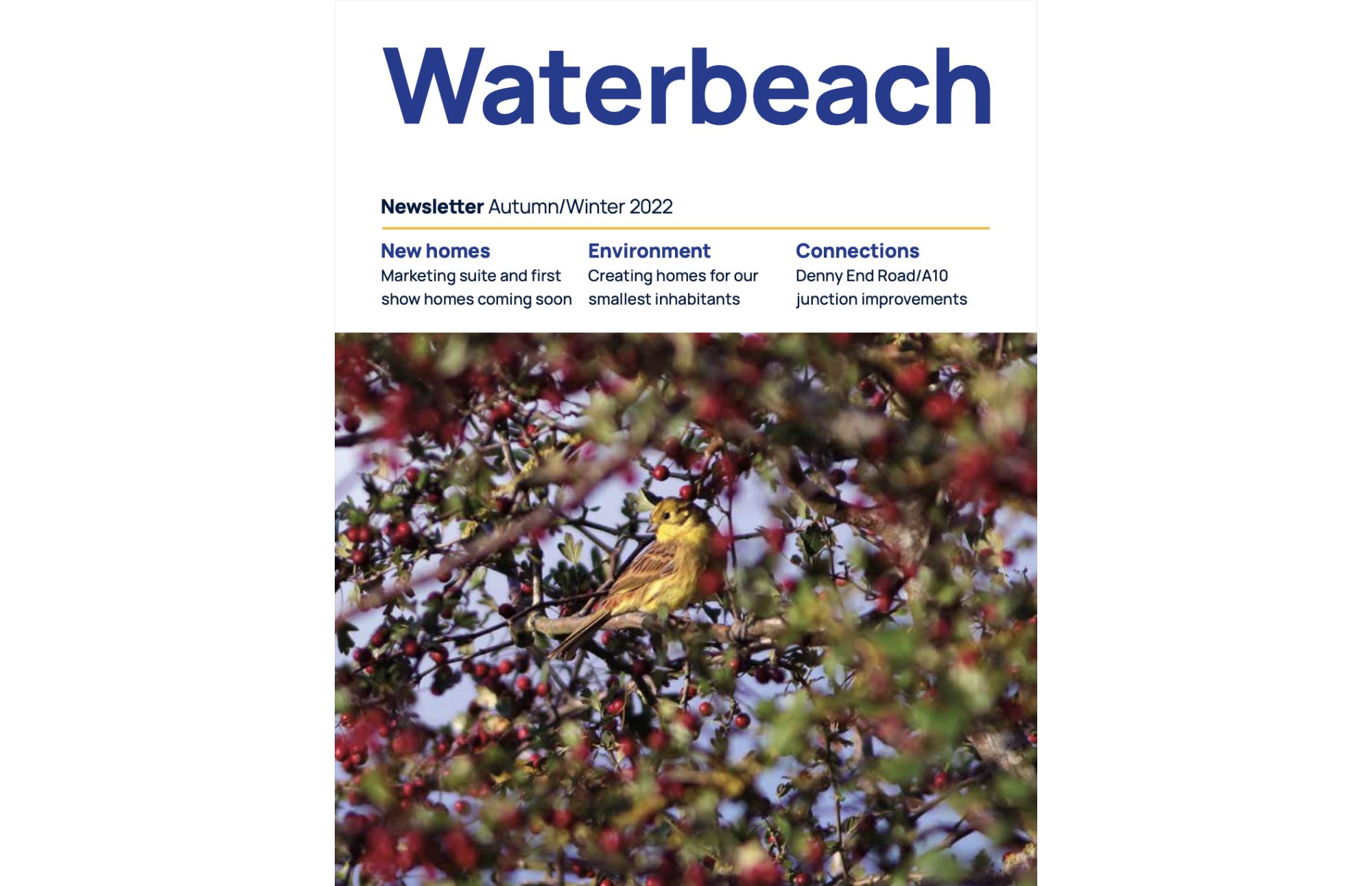 Featured image for “Waterbeach newsletter Autumn Winter 2022”