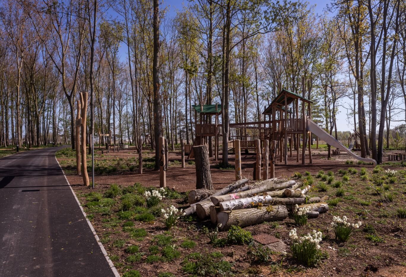 Wild Woods play area at Waterbeach