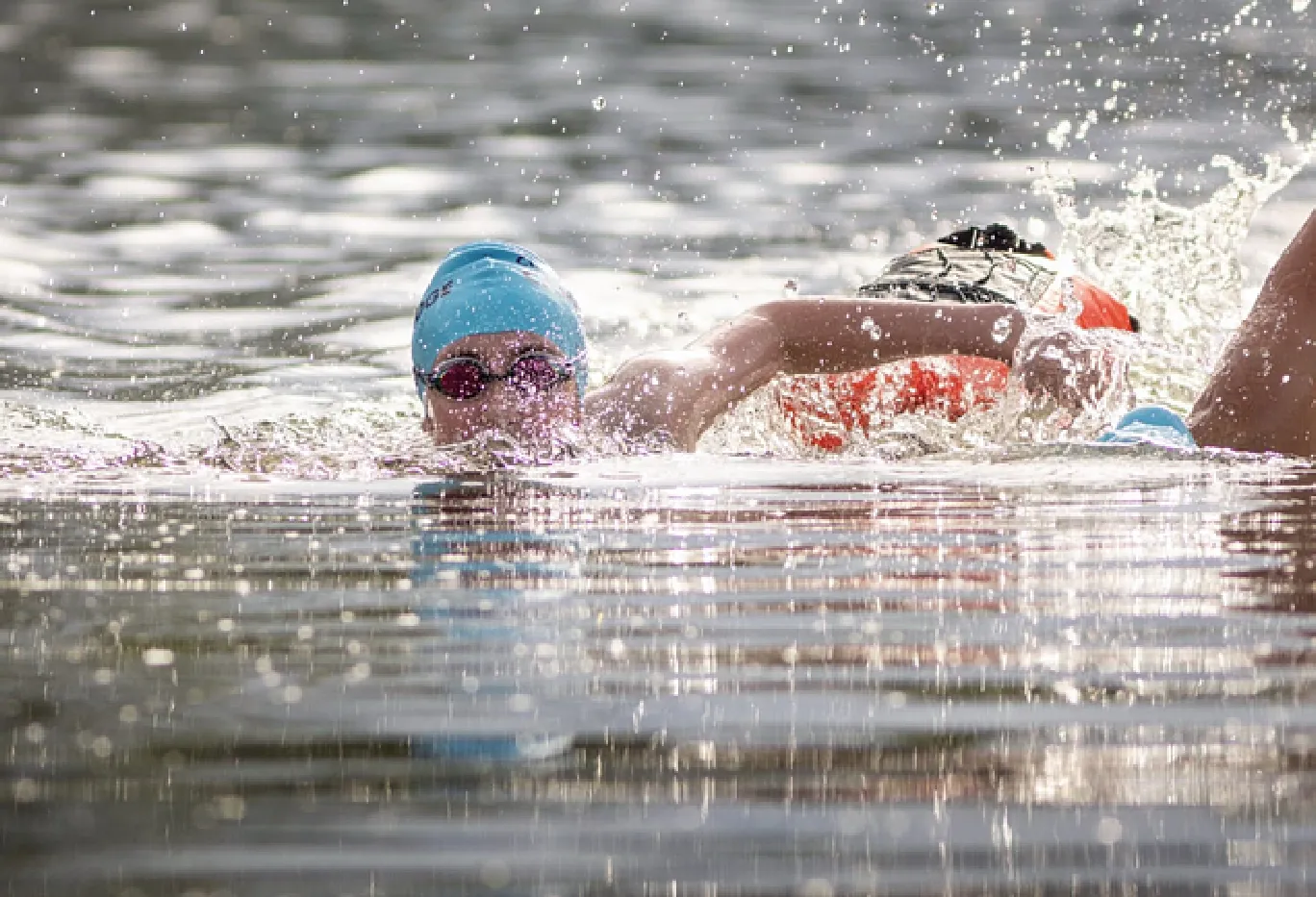 Open water swimmer in the lake at Waterbeach