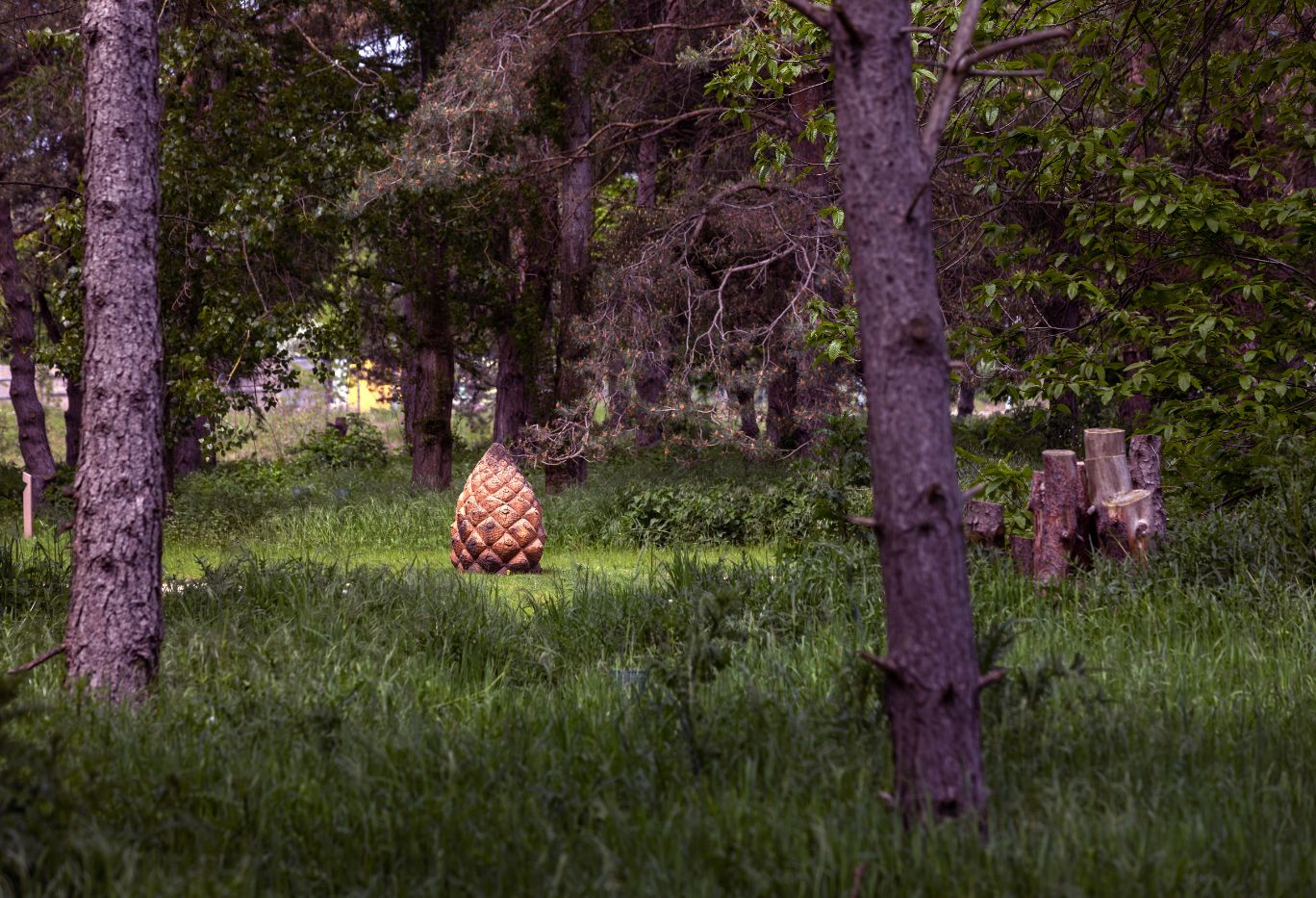 Featured image for “Pop-up Harvest Festival at Waterbeach”