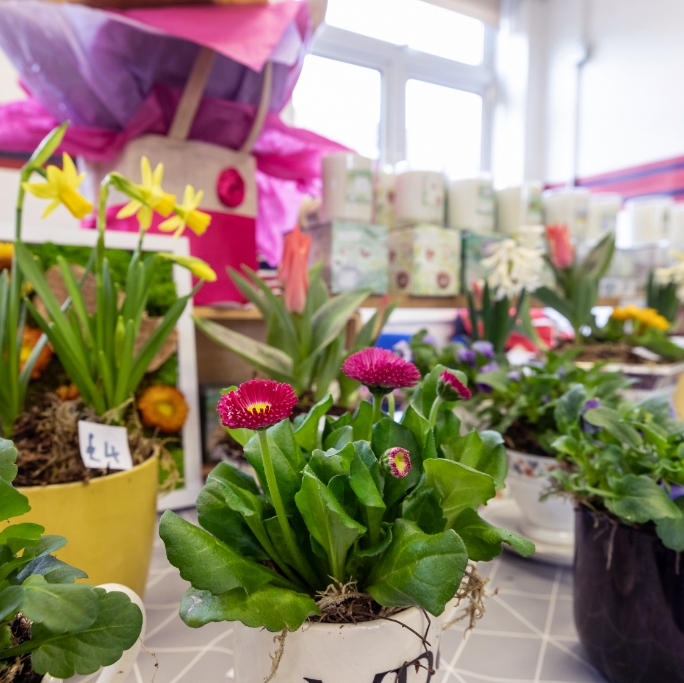 Flowers at the Waterbeach Community Market