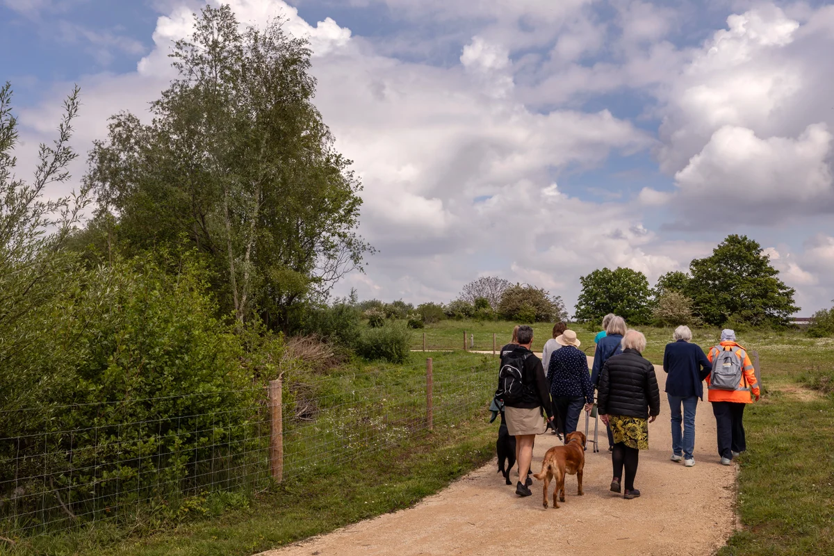 Featured image for “Wellness Walk”