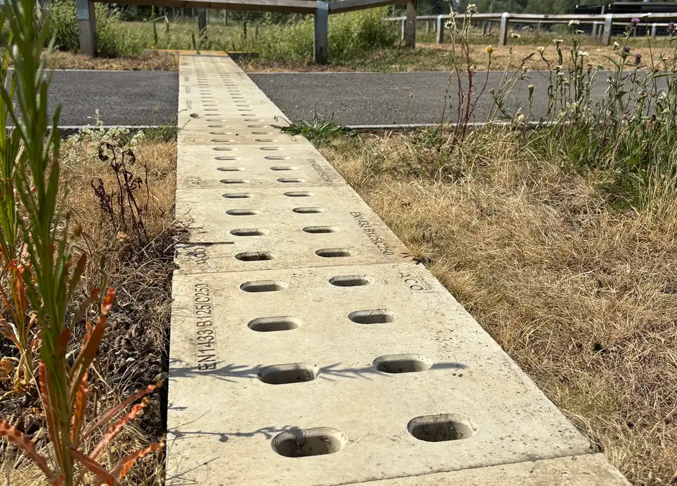 Newt crossing